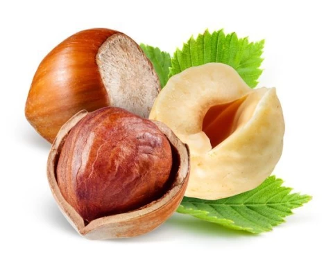 Fındık