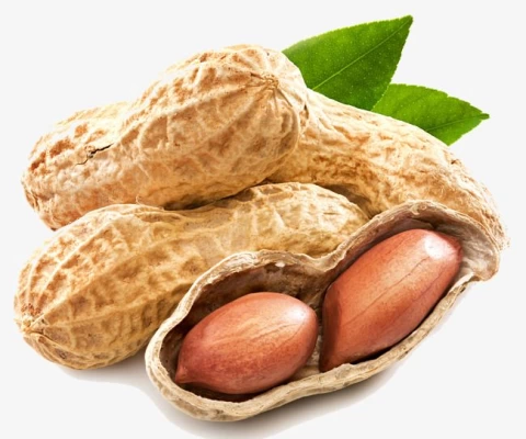 Fıstık