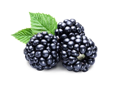 Ahududu Böğürtlen