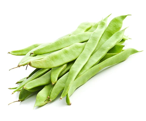 Fasulye