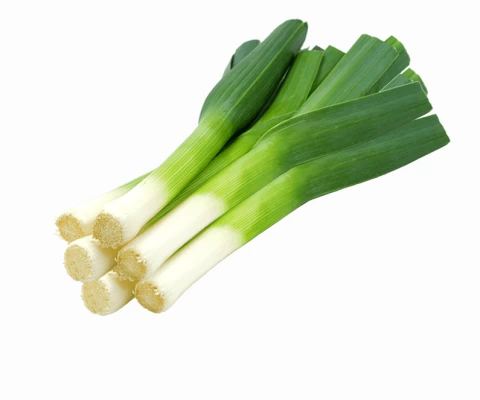 Pırasa
